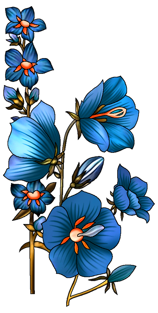 faa3193af455d1a811fd620d51d83ca4.png
