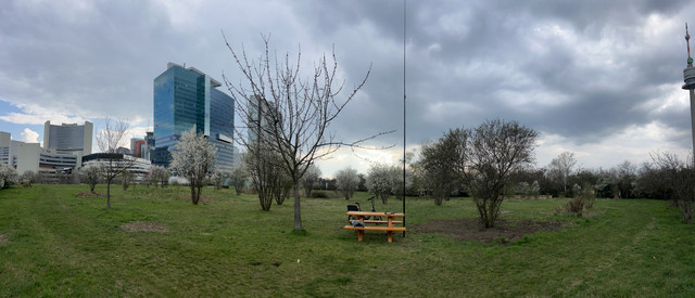 IMG-8762.jpg