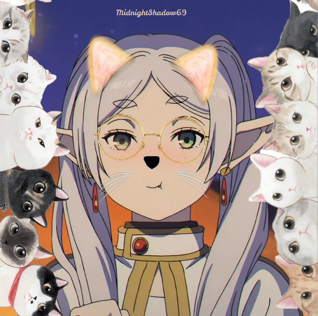 Frieren Cat Animal Signal S FINAL