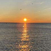 IMG-4104