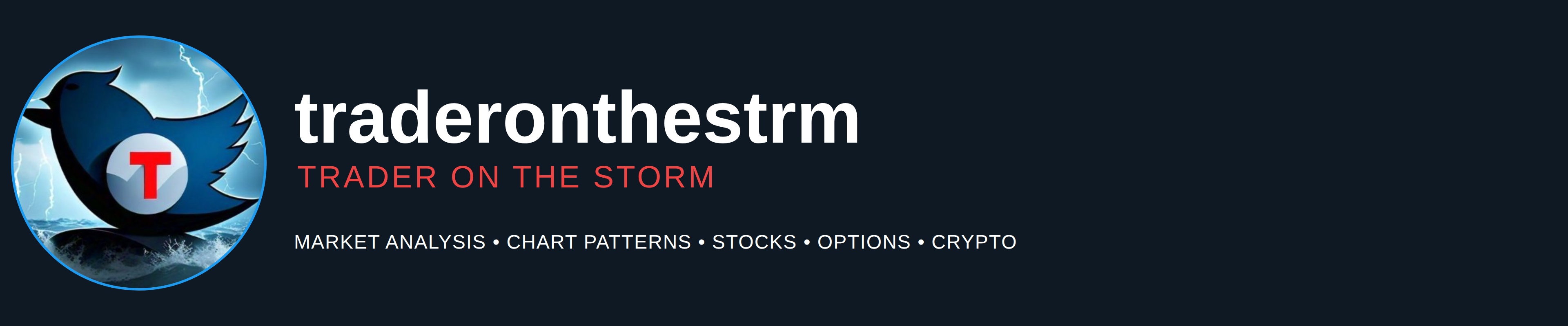 traders on the storm