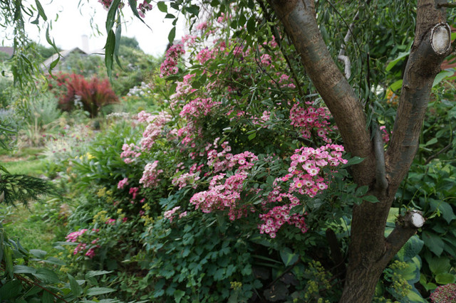 600-DSC05504.jpg