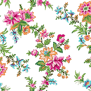 shutterstock 2764461241 copy