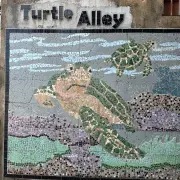 Turtle Alley54