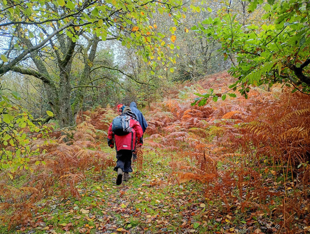 G Llanwrthwl.jpg