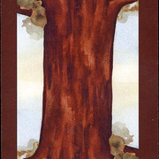 badgers forest card backs