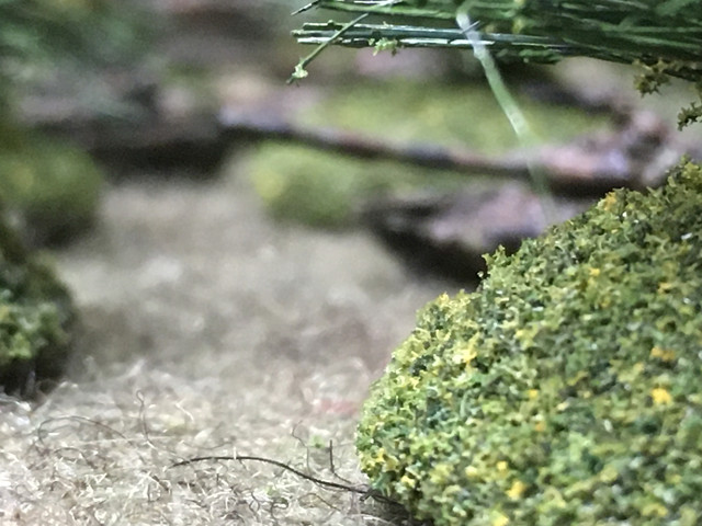 IMG 8675.jpg