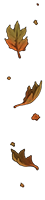 Autumn leaves