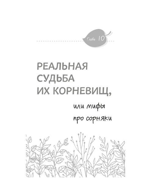 2024-88