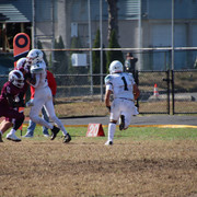 IMG-3412