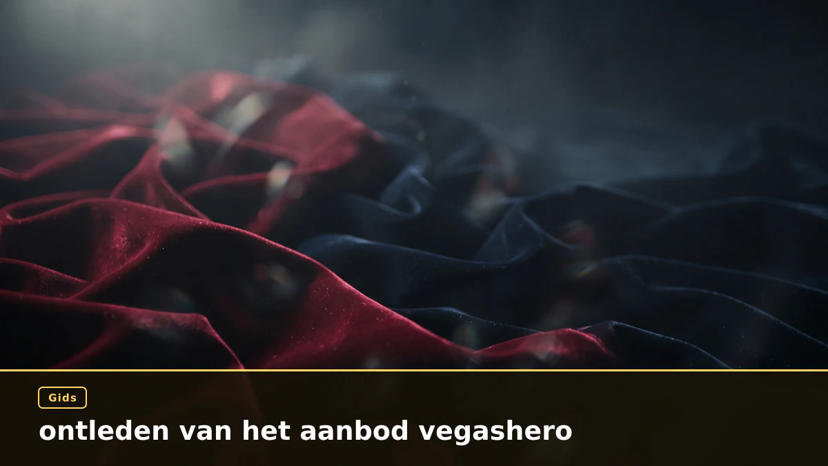 ontleden van het aanbod vegashero