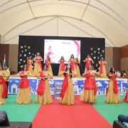 IMG 7993
