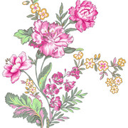 d68e8ba2e1c7eaddabdf310c179f2b88