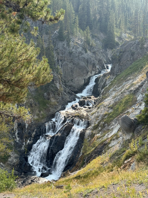 IMG-7609.jpg