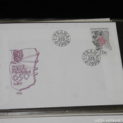 IMG-2599