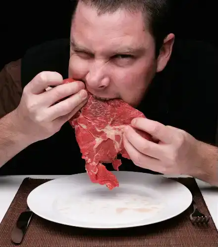 Carnivoor dieet - nieuw onderzoek waarschuwt voor risico's - www.VleesKopenbijdeBoer.nl