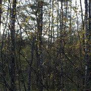 DSC7450-result