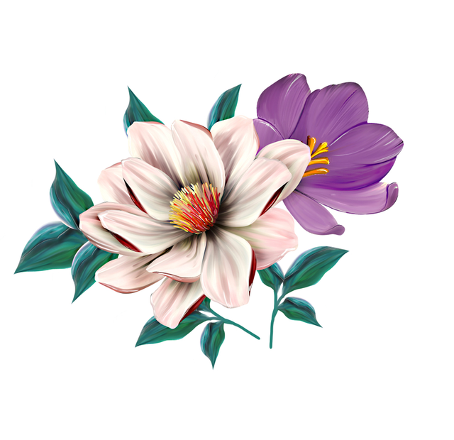 shutterstock-1153426642.png
