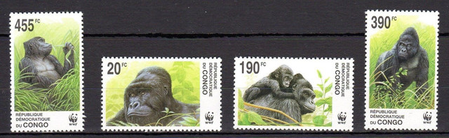 congo 2002 04