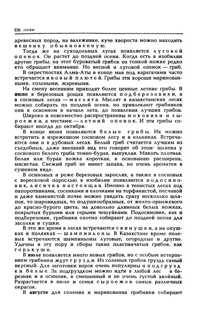 1989-229
