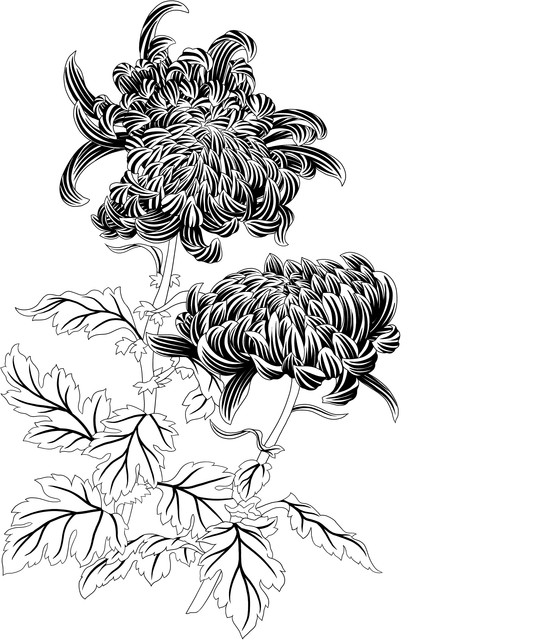 shutterstock 2195720347.jpg