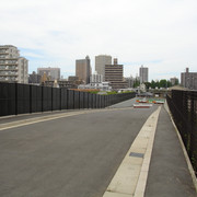 2010-06-24-126