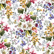 5db28cf45089dc1f7a76db03866a7a70
