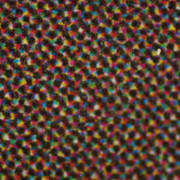 DSC01641