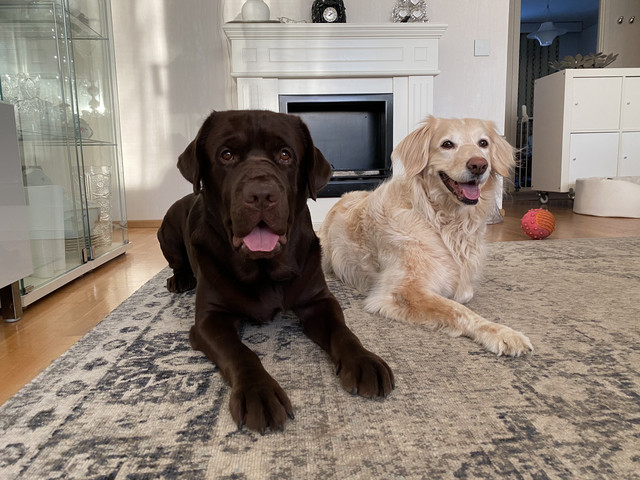 3506-D02-A-3-F4-E-4-BBA-A711-AF4-C256-F7