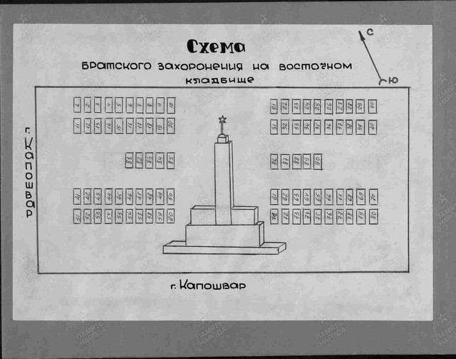 https://i.ibb.co/sJwH2Dvg/image.jpg