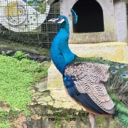 Agro Market34