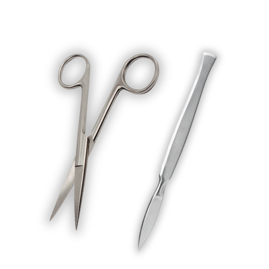 Surgery