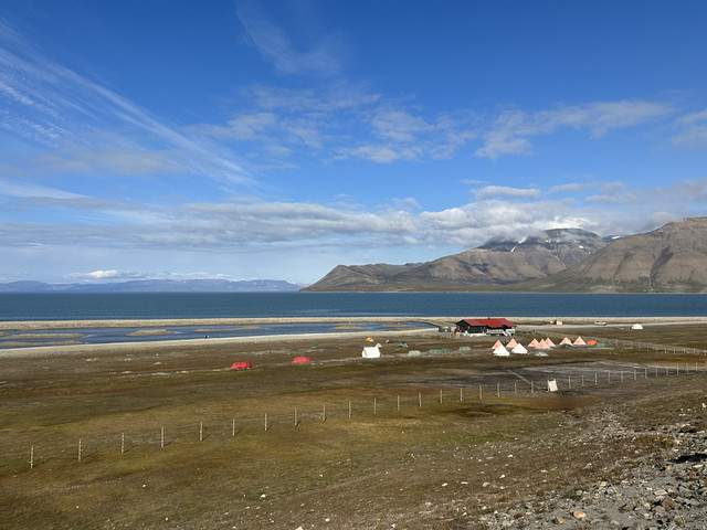 IMG-5493