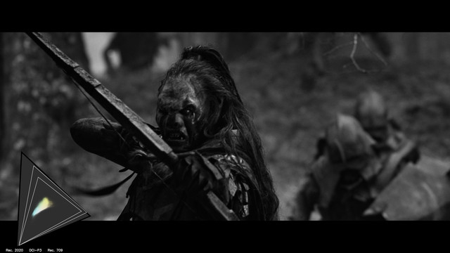 gamut-LOTR10319