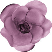 flower-5