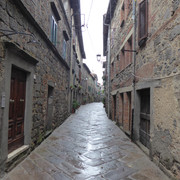 P1010521