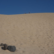 DSCF8582