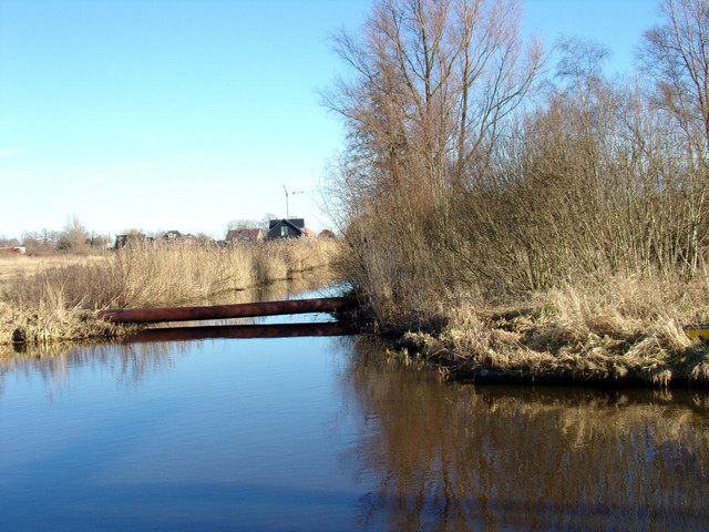100-0137.jpg