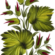 5eb242173f963b67f28c1fff7e8bbd71