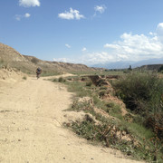 IMG 1488
