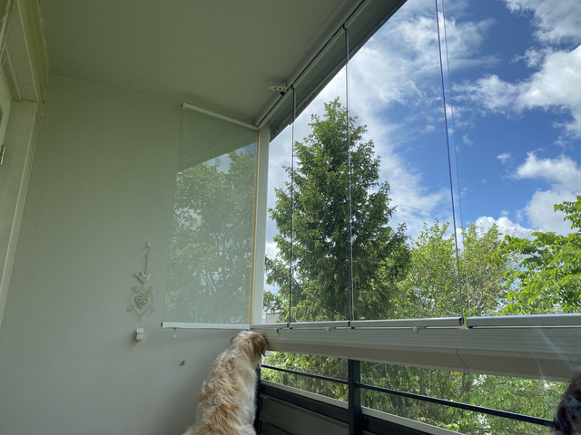 D297-D233-3-B43-40-E5-A203-45-C37-B5-D1-