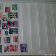 IMG-6912