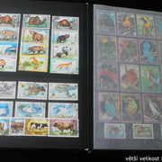 IMG-2239