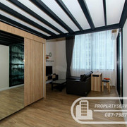 IMG-1253