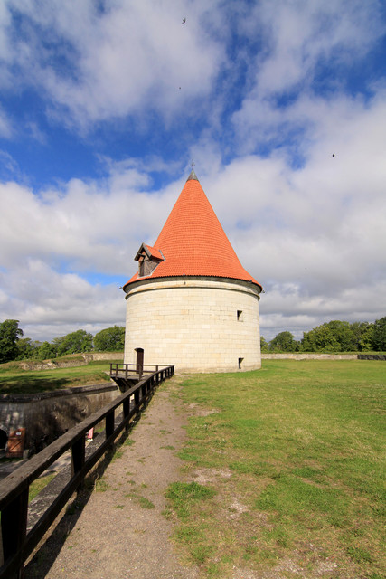 IMG-1410