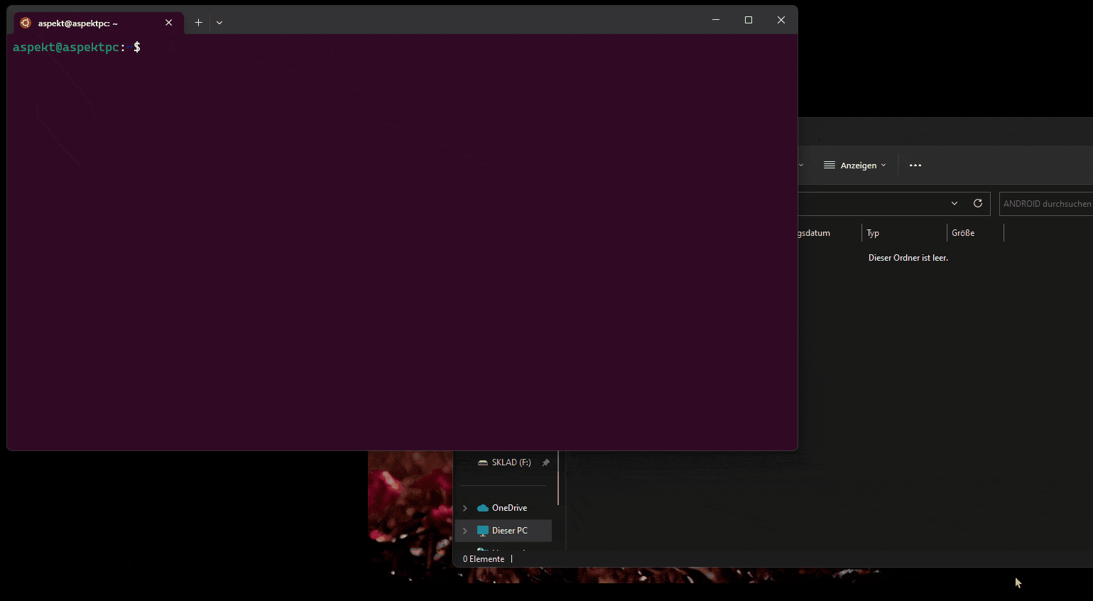 Animation.gif