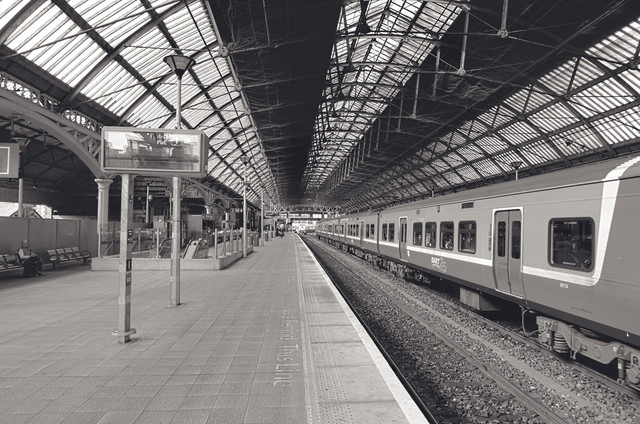 IMGP7917.jpg