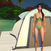 sims-forum-lania