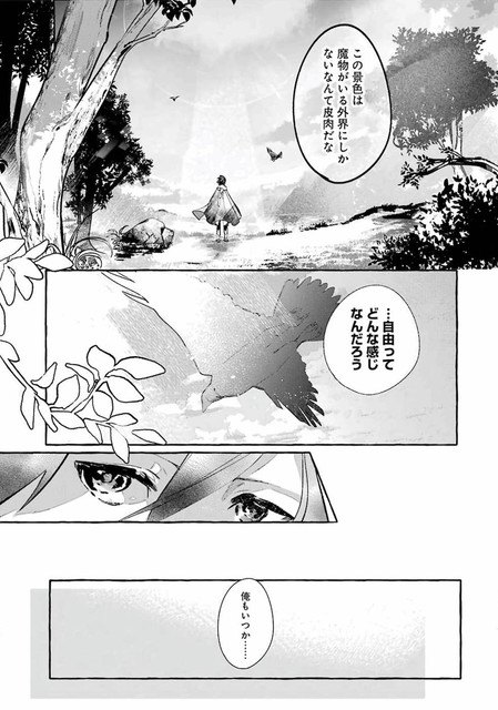 DLRAW-NET-011