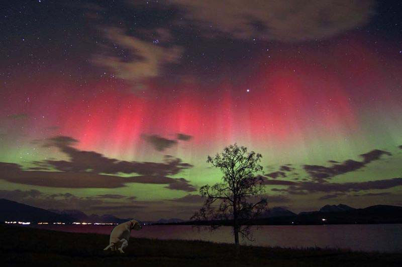 Northern-Lights.jpg